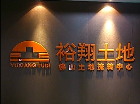 佛山市南海区狮山镇3亩平地
