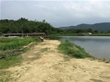 肇庆四会市140亩山水生态农场