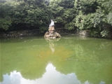 佛山市高明480亩大型休闲/观光农场