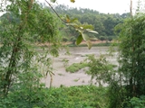 佛山市三水小型特色农场