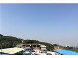 广州市400多亩果园农庄转让