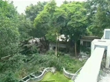 肇庆四会市300亩休闲度假山庄转让