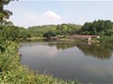 清远市清城区150亩山水休闲农场用地
