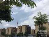 佛山高明100亩工业地转让