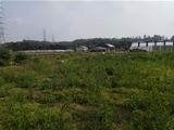 佛山南海11亩农业用地出租
