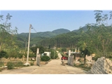 佛山高明区270亩生态庄园出租