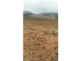 清远连州约1000亩大型综合农场基地转让