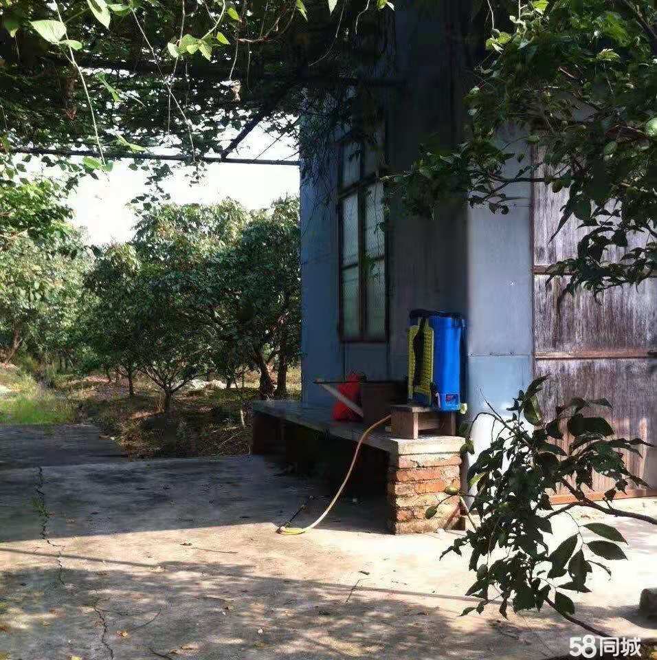 广州白云区农场出租