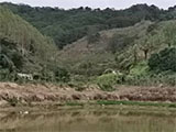 清远市清城区120亩山地转让