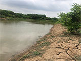 广州市番禺区100亩种植基地出租或寻求合作开发