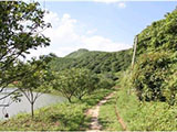 肇庆高要市有约300亩大型生态农场