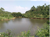 清远市150亩山水休闲农场用地转让