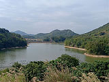 清远市清城区有约450亩山水生态农场