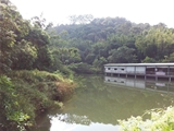广州市增城区40亩休闲度假山庄转让