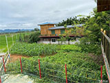 清远市阳山县200亩生态畜牧场转让