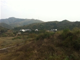 清远市阳山县1400亩优质荒山荒地