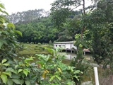 广州市增城40亩休闲度假山庄