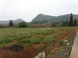 清远市300亩私人综合农场基地