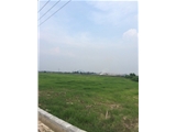 佛山南海区和顺镇275亩农业地