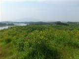 河源市万绿湖千亩湖景庄园