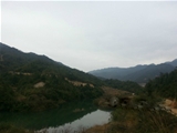 韶关市新丰县3100亩山林地
