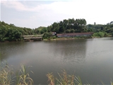 清远市150亩山水休闲农场用地