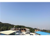 广州市460亩果园农家乐