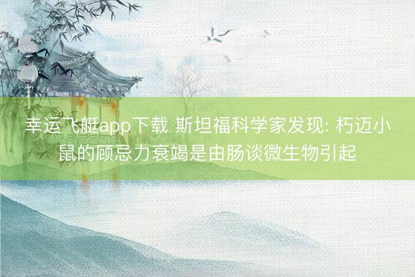 幸运飞艇app下载 斯坦福科学家发现: 朽迈小鼠的顾忌力衰竭是由肠谈微生物引起