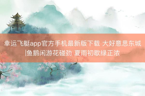 幸运飞艇app官方手机最新版下载 大好意思东城|鱼鹅闲游花碰劲 夏雨初歇绿正浓