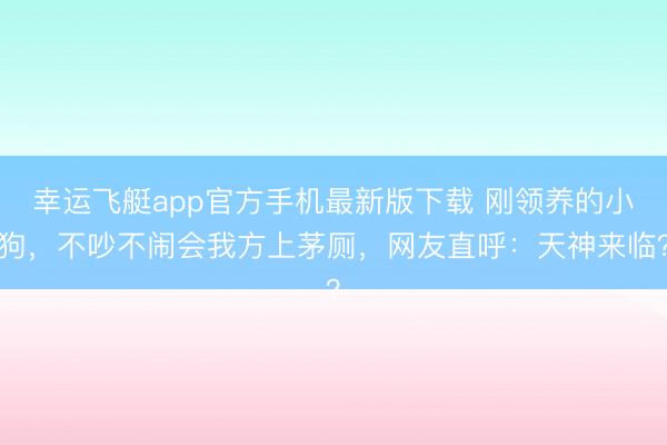 幸运飞艇app官方手机最新版下载 刚领养的小狗，不吵不闹会我方上茅厕，网友直呼：天神来临？